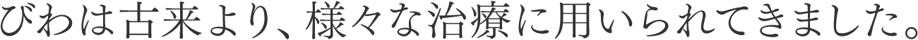 びわは古来より、様々な治療に用いられてきました。