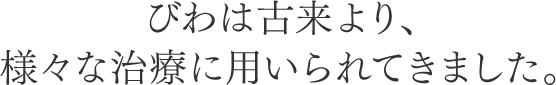 びわは古来より、様々な治療に用いられてきました。